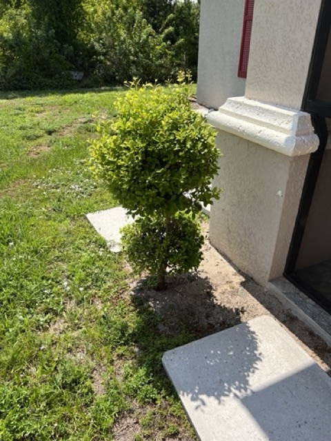 landscaping_01 Medium