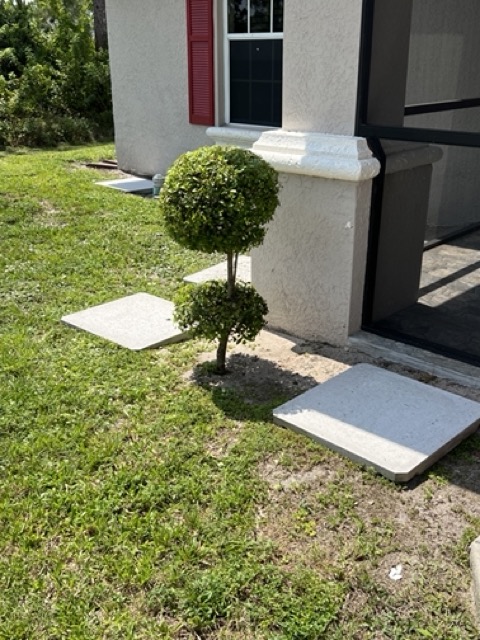 landscaping_02 Medium