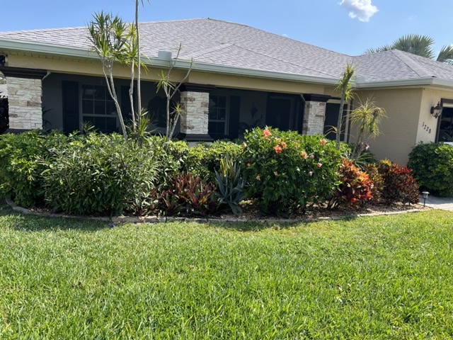 lawncare_before03 Medium